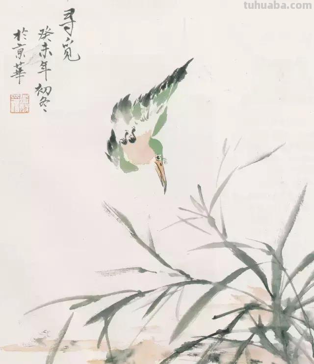 图文教程丨26幅花鸟,翠鸟的画法(太全了~) 图文教程丨26幅花鸟,翠鸟的画法(太全了~)