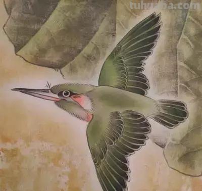 图文教程丨26幅花鸟,翠鸟的画法(太全了~) 图文教程丨26幅花鸟,翠鸟的画法(太全了~)