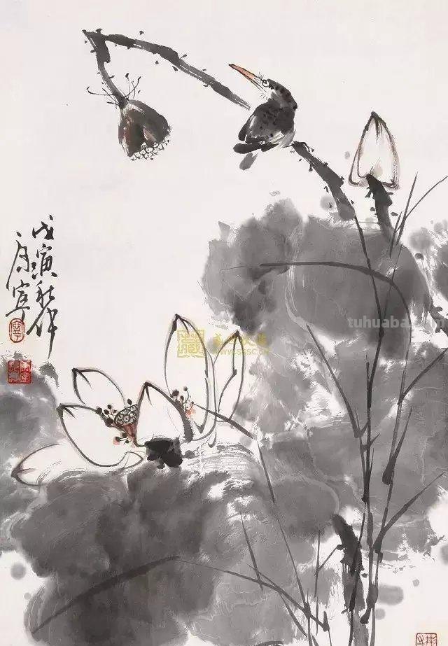 图文教程丨26幅花鸟,翠鸟的画法(太全了~) 图文教程丨26幅花鸟,翠鸟的画法(太全了~)