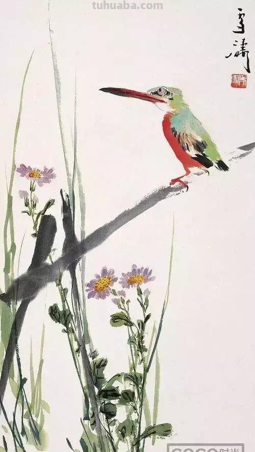 图文教程丨26幅花鸟,翠鸟的画法(太全了~) 图文教程丨26幅花鸟,翠鸟的画法(太全了~)