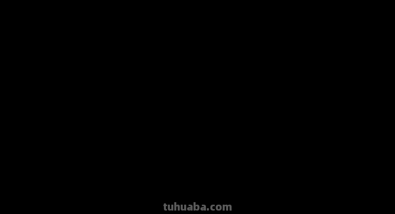 十二生肖简笔画，虎虎生威巧手迎新年