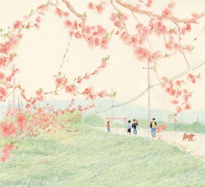 这些彩铅画,画的不是真实,但是温暖迷人 这些彩铅画,画的不是真实,但是温暖迷人