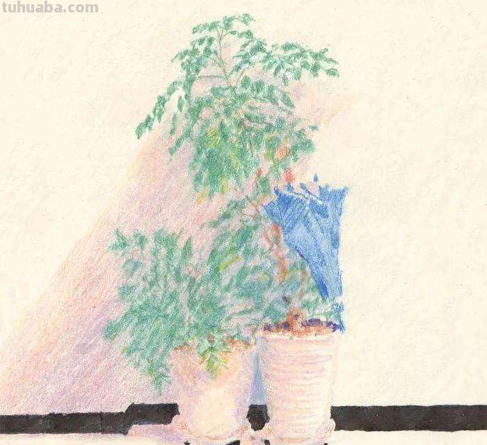 这些彩铅画,画的不是真实,但是温暖迷人 这些彩铅画,画的不是真实,但是温暖迷人