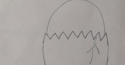鸡蛋怎么画简笔画 鸡蛋简笔画怎么画? 鸡蛋怎么画简笔画 鸡蛋简笔画怎么画?