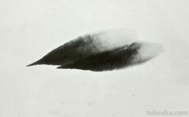 虾怎么画简笔画 虾卡通画? 虾怎么画简笔画 虾卡通画?