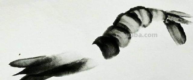 虾怎么画简笔画 虾卡通画? 虾怎么画简笔画 虾卡通画?