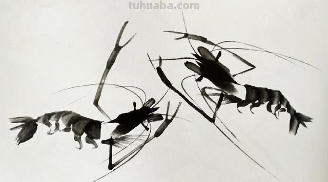 虾怎么画简笔画 虾卡通画? 虾怎么画简笔画 虾卡通画?