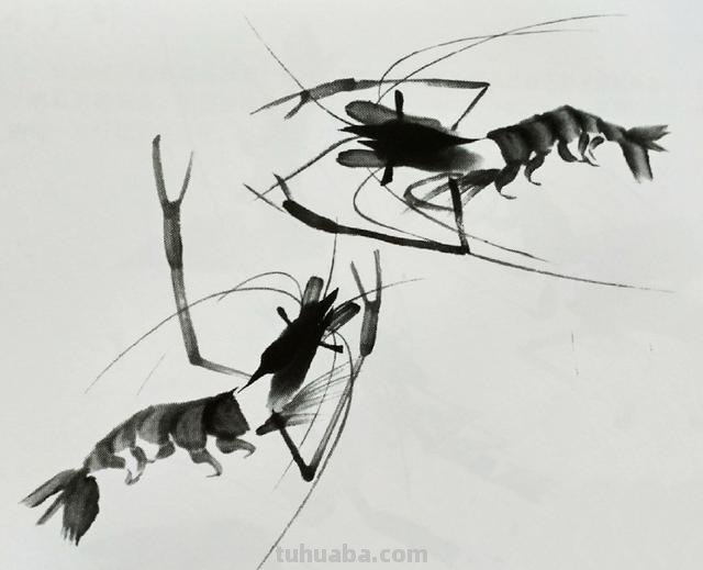 虾怎么画简笔画 虾卡通画? 虾怎么画简笔画 虾卡通画?