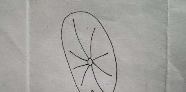 莲藕怎么画简笔画 怎么简单画荷花荷叶? 莲藕怎么画简笔画 怎么简单画荷花荷叶?