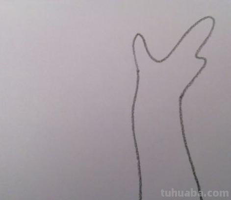 怎么画柳树简笔画 简笔画柳树怎么画？