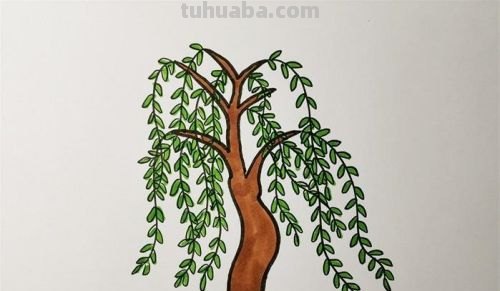 怎么画柳树简笔画 简笔画柳树怎么画? 怎么画柳树简笔画 简笔画柳树怎么画?