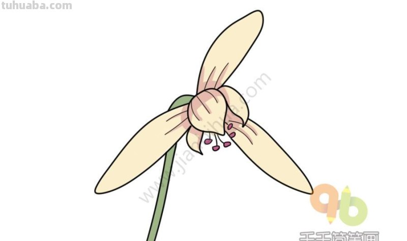 花朵的简笔画，简单又可爱！喜欢收藏哦~
