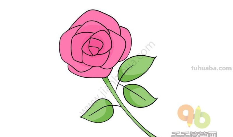 花朵的简笔画，简单又可爱！喜欢收藏哦~