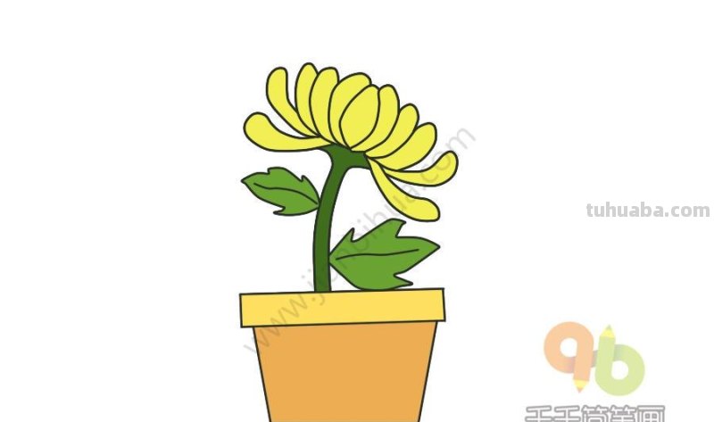 花朵的简笔画，简单又可爱！喜欢收藏哦~