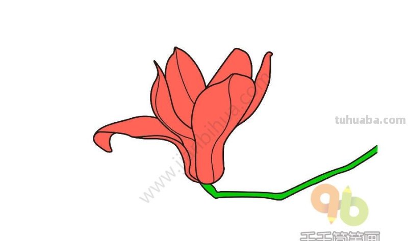 花朵的简笔画，简单又可爱！喜欢收藏哦~