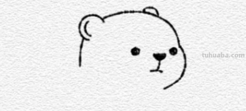 怎样画一只北极熊