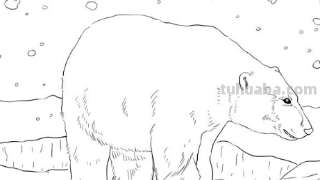 爱心北极熊怎么画