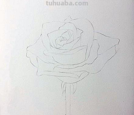 彩铅玫瑰戒指怎么画 铅笔画图片唯美花朵,彩铅玫瑰花教程图片? 彩铅玫瑰戒指怎么画 铅笔画图片唯美花朵,彩铅玫瑰花教程图片?