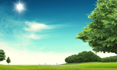 保护环境手抄报内容