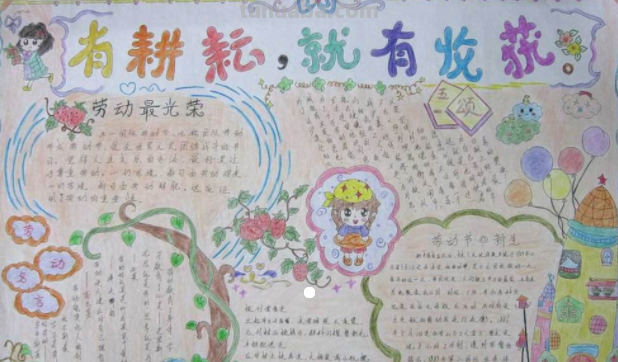 劳动节手抄报内容怎么写