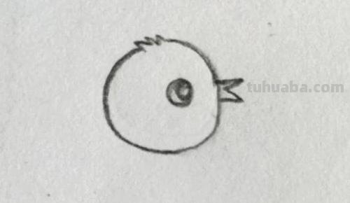 鸡怎么画 彩铅颜色 怎样画小鸡? 鸡怎么画 彩铅颜色 怎样画小鸡?