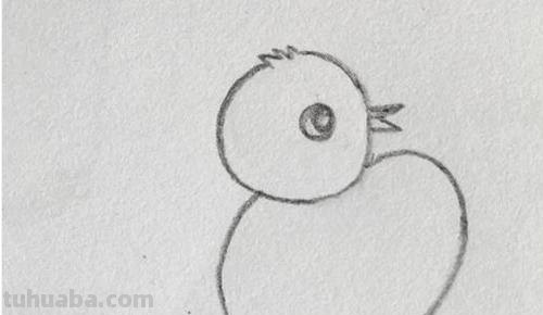 鸡怎么画 彩铅颜色 怎样画小鸡? 鸡怎么画 彩铅颜色 怎样画小鸡?