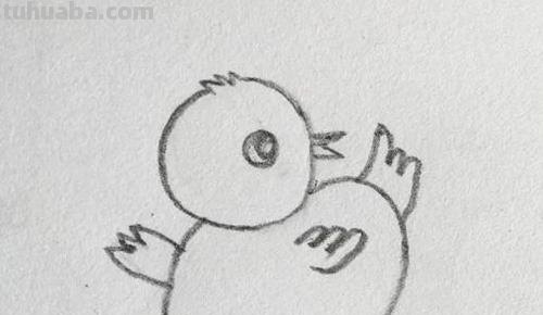 鸡怎么画 彩铅颜色 怎样画小鸡? 鸡怎么画 彩铅颜色 怎样画小鸡?