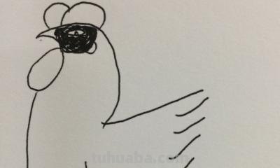 鸡怎么画 彩铅颜色 怎样画小鸡? 鸡怎么画 彩铅颜色 怎样画小鸡?