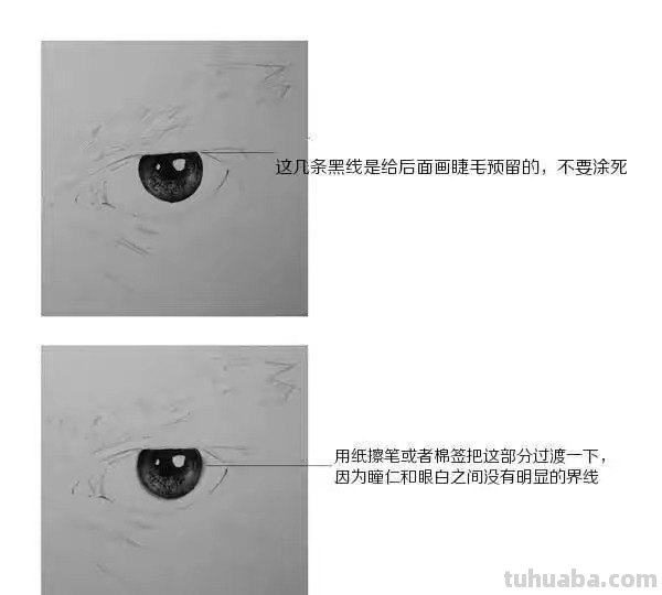 眼部细节速写 五官速写技巧口诀？