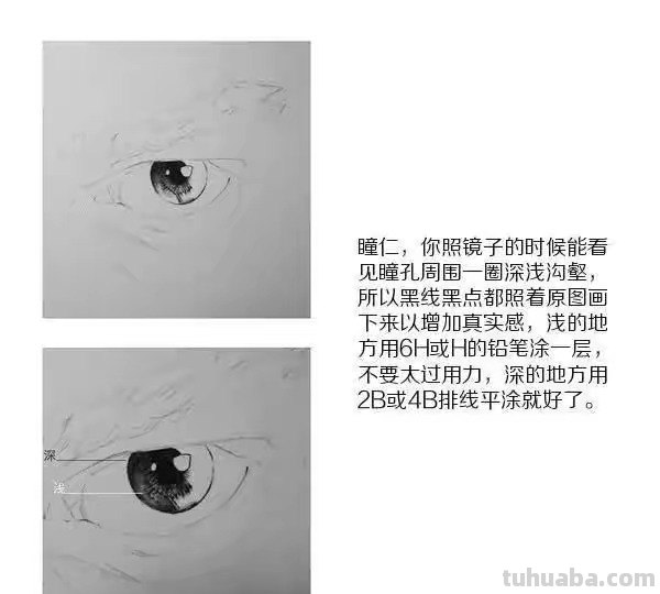 眼部细节速写 五官速写技巧口诀？
