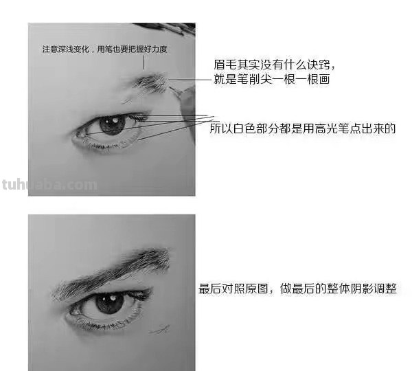 眼部细节速写 五官速写技巧口诀？
