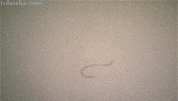 海浪怎么画简笔画 海浪与海鸥简笔画怎么画?怎么组合？