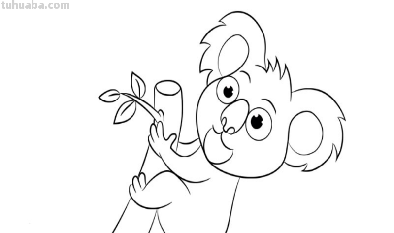 考拉怎么画