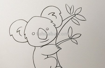 考拉怎么画