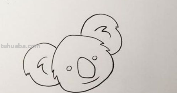 考拉怎么画简单又可爱