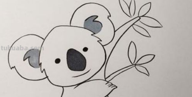 考拉怎么画简单又可爱