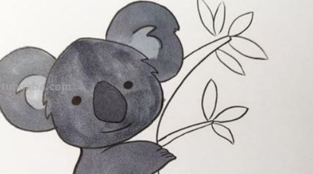 考拉怎么画简单又可爱