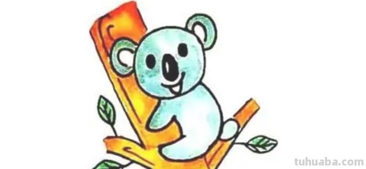 树袋熊怎么画