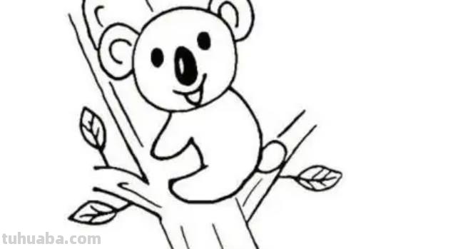 树袋熊怎么画