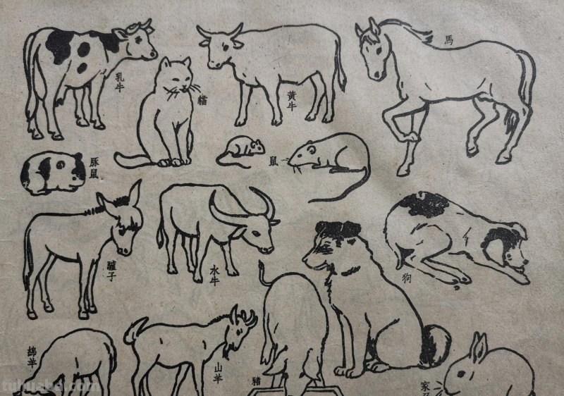 很有年代感的简笔画 续2