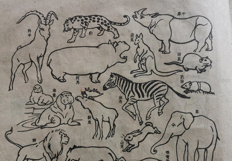 很有年代感的简笔画 续2