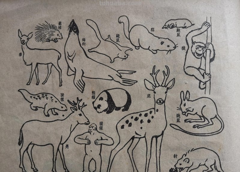 很有年代感的简笔画 续2