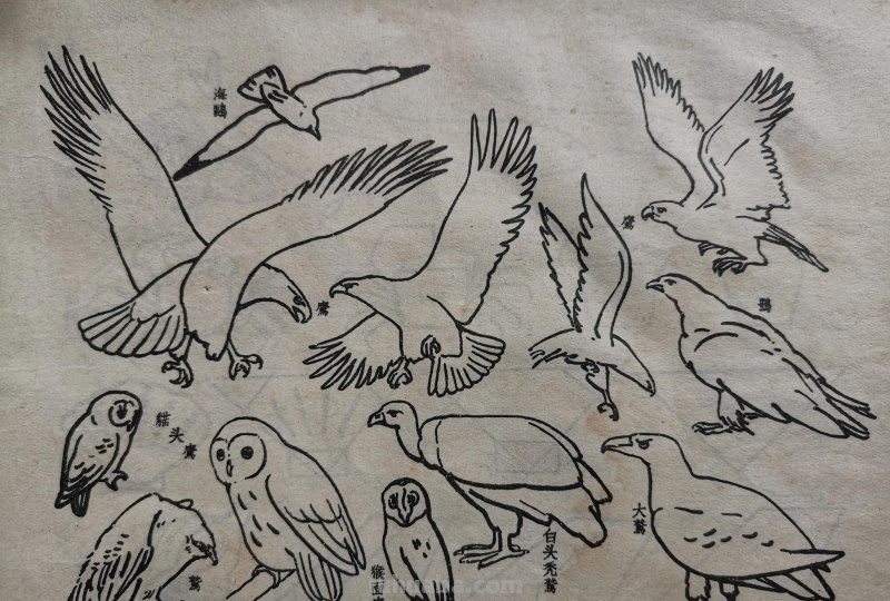 很有年代感的简笔画 续2