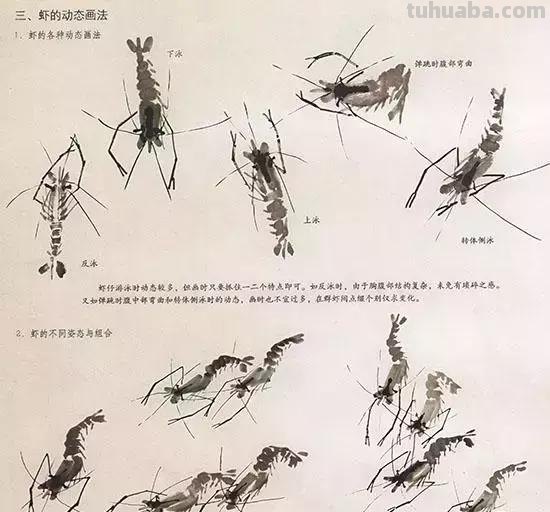 中国国画 几种虫儿的画法