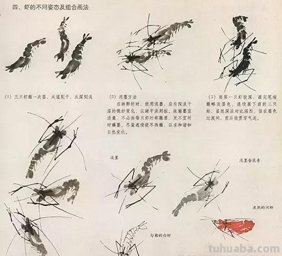 中国国画 几种虫儿的画法