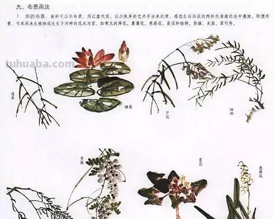 中国国画 几种虫儿的画法