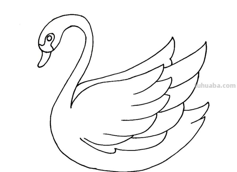 儿童画教程|创意线条课程推荐 - 月光下的白天鹅 儿童画教程|创意线条课程推荐 - 月光下的白天鹅