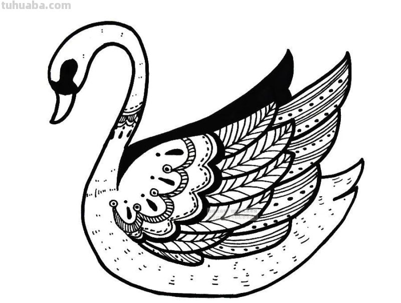 儿童画教程|创意线条课程推荐 - 月光下的白天鹅 儿童画教程|创意线条课程推荐 - 月光下的白天鹅