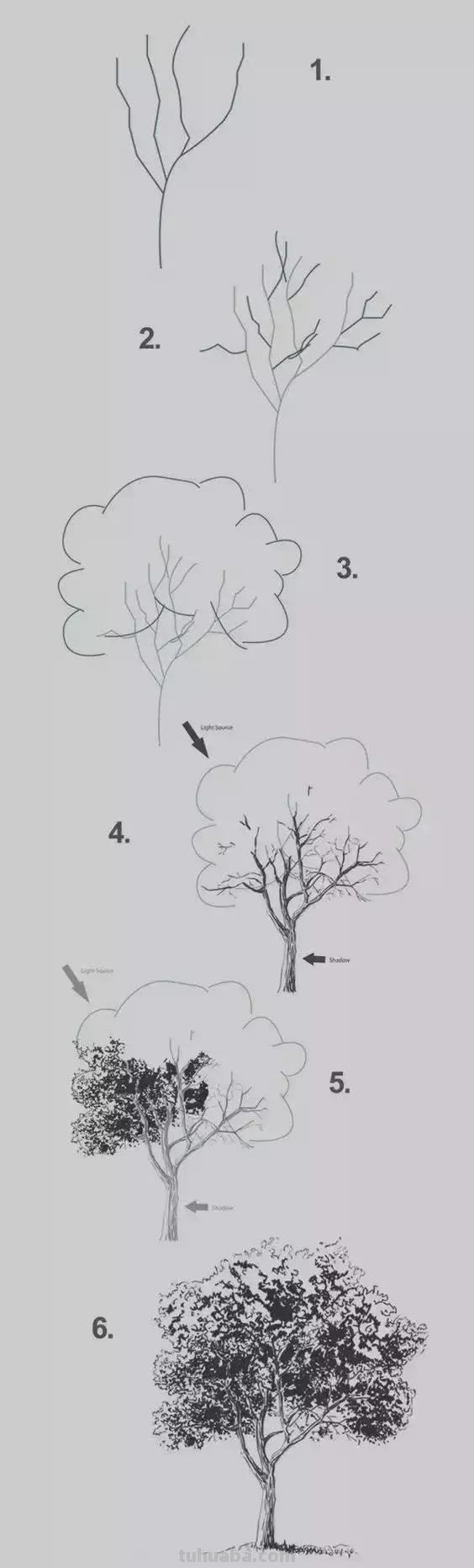 零基础绘画教程，不要错过！