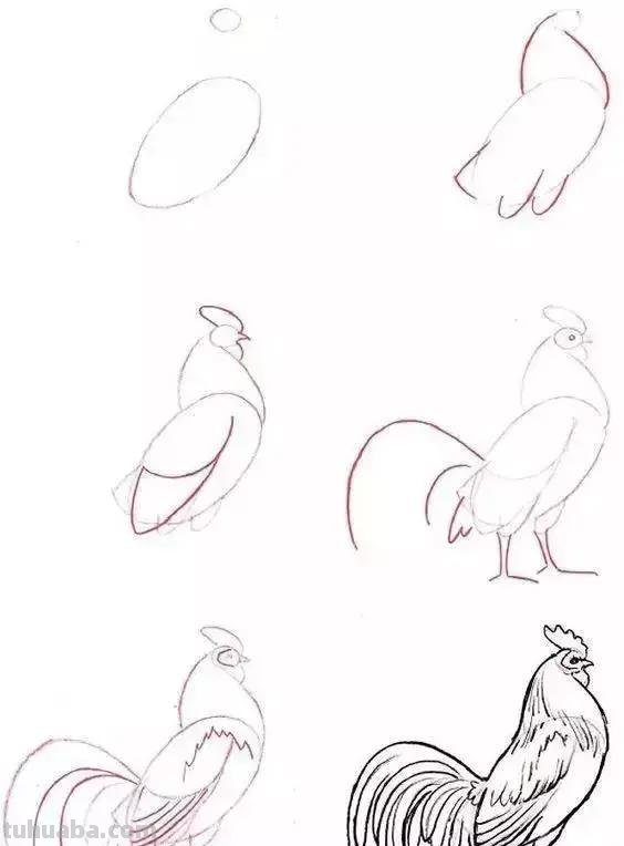 零基础绘画教程，不要错过！